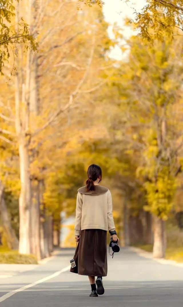 微头条的官方网站,微头条和头条