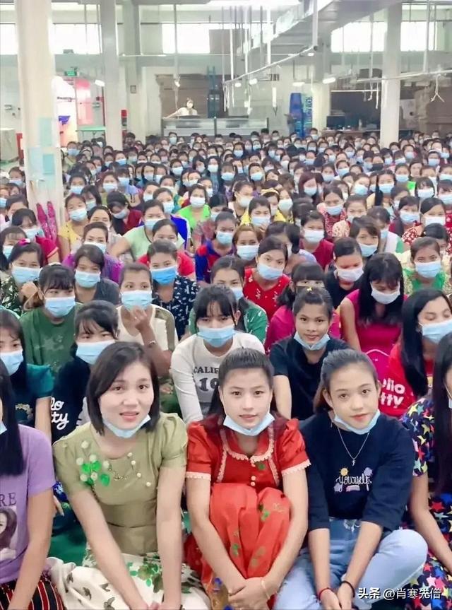 河粉生产线厂家,河粉生产线厂家排名