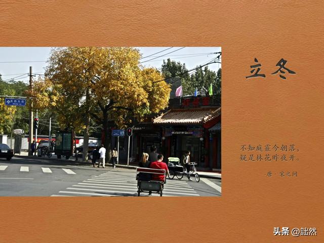 养鸽子的禁忌野生鸽子吃什么,养鸽子禁忌食物有哪些