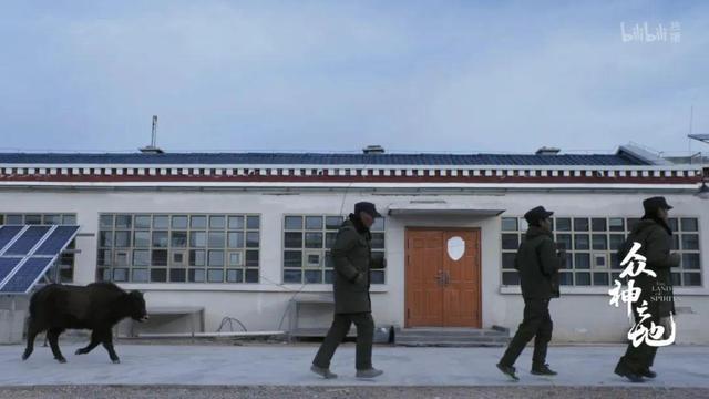 现象级什么意思,现象级什么意思还有什么级