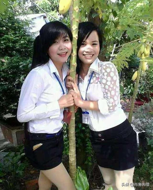 河粉生产线厂家,河粉生产线厂家排名