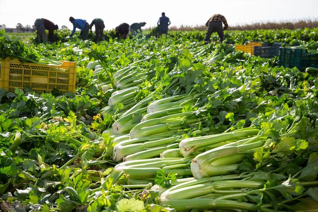 做生意的技巧与口才顺口溜大全,做生意的技巧与口才顺口溜视频