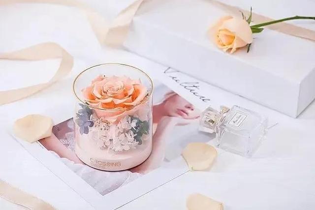 鸟笼效应是什么意思,鸟笼效应的意思