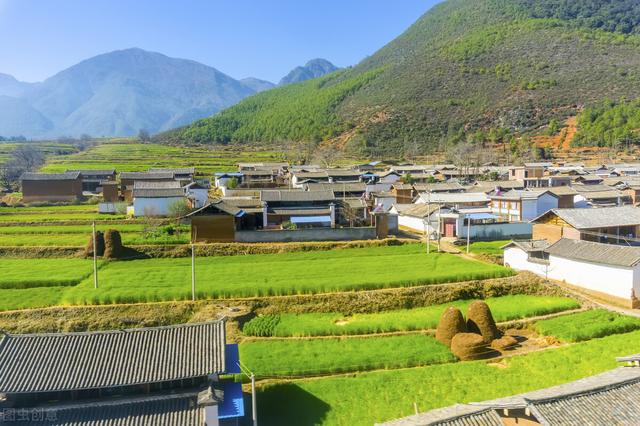 赵玉芳个人资料，赵玉芳个人资料图片