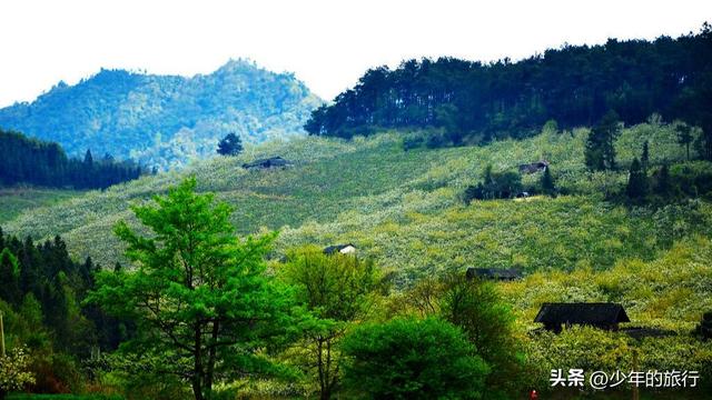 怀化适合小孩子玩的地方有哪些景点,怀化适合小孩子玩的地方有哪些景点推荐