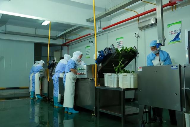 加盟味捷外卖,加盟味捷外卖怎么样