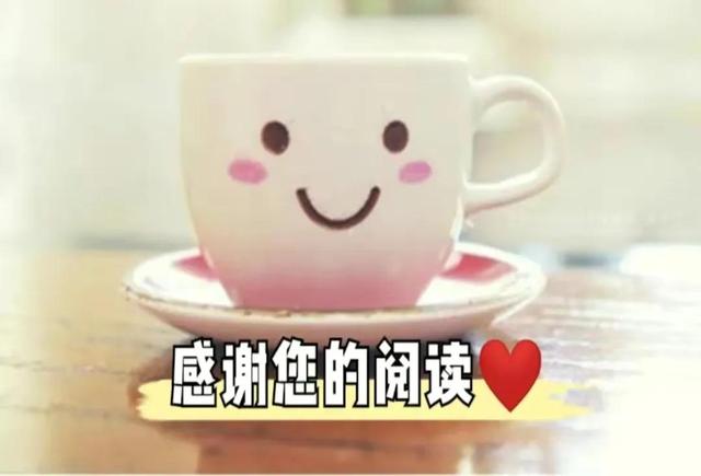 拼多多好评返现的钱在哪里找,拼多多好评返现的钱在哪里找得到