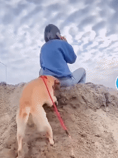 社牛和社恐是什么意思,社牛和社恐之间叫什么