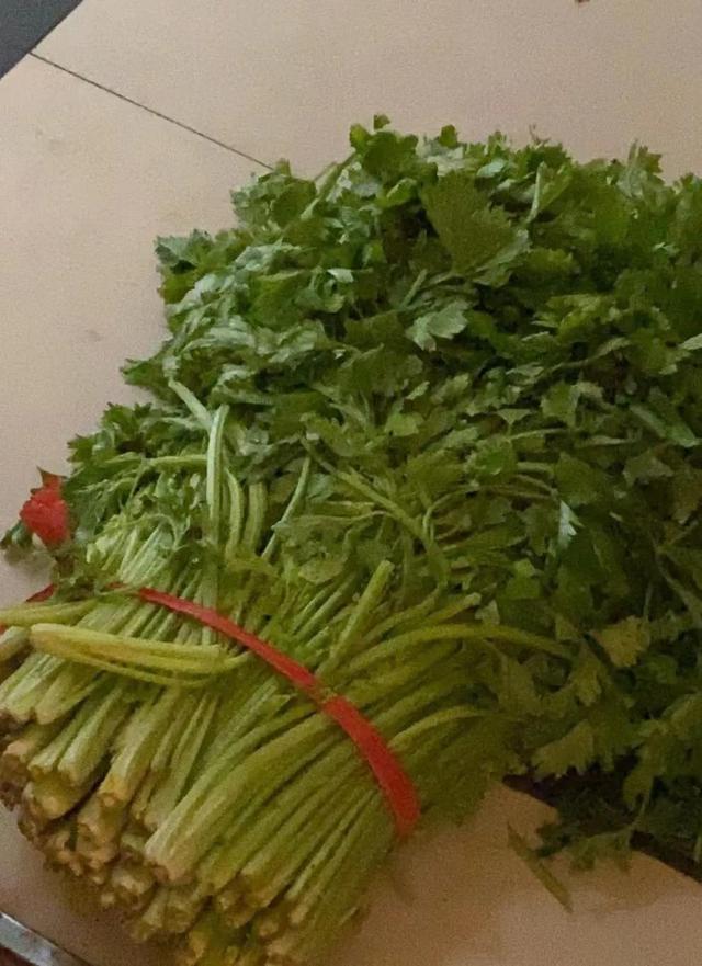 我所经历的2022上海疫情回忆记录（十）全军覆没