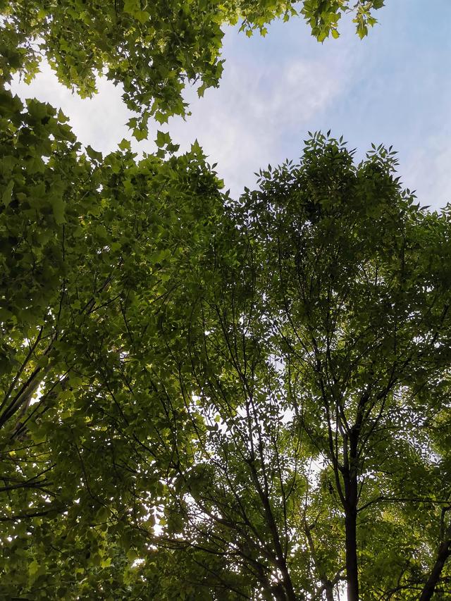 有多少人为了“六便士”放弃了心中的“月亮”？