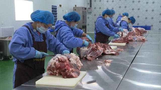 养殖肉牛基地价格,养殖肉牛基地价格表