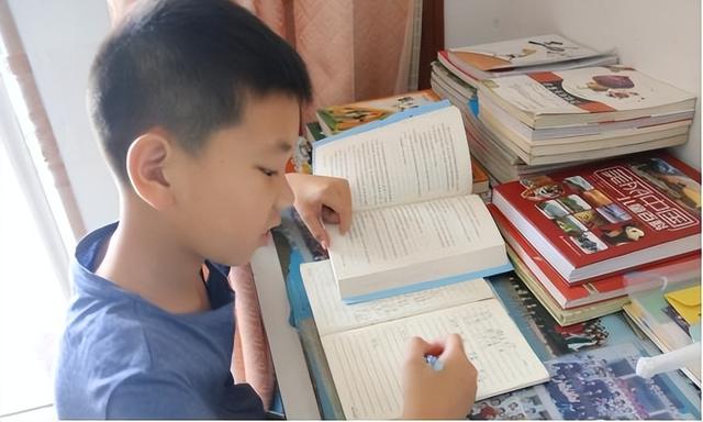 提分平台教师端查询,中国教育提分平台查成绩