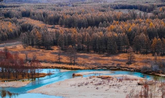 自由度极高的冷门工作在家,有哪些自由度高的工作