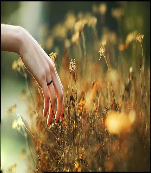 拼多多好评返现的钱在哪里找,拼多多好评返现的钱在哪里找得到