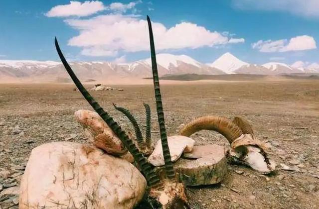 至今无法解释100事件_未解之谜,未解之谜的事件