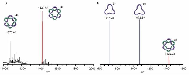 乙酸乙酯的密度比水大还是比水小,乙酸乙酯密度为什么比水小