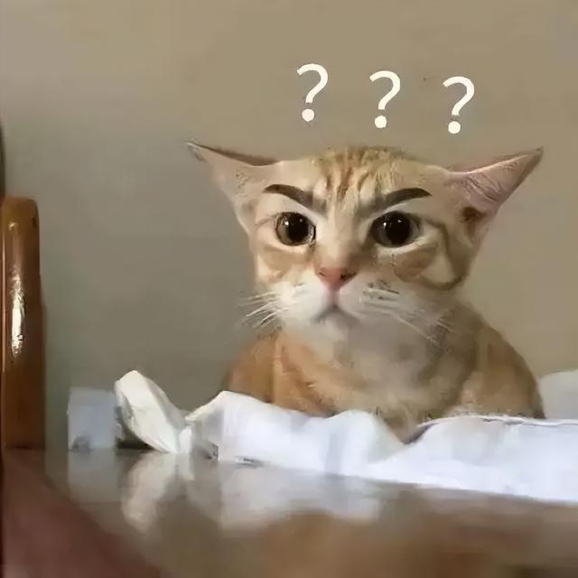 夹子是什么意思网络用语,夹子是什么意思网络用语怎么说