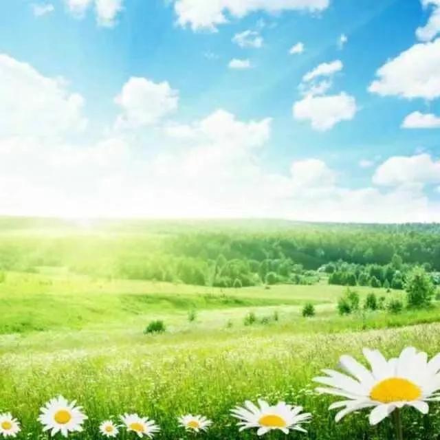 小螺号歌词儿童歌词,小螺号歌词儿童歌词人教版