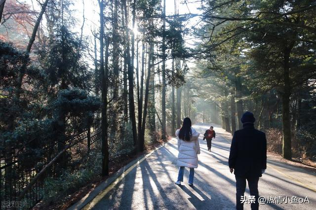 能看的免费直播,能看的免费直播APP