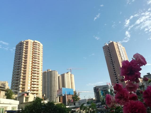 自己束缚自己被朋友带走的小说,自己束缚自己被朋友带走的小说推荐