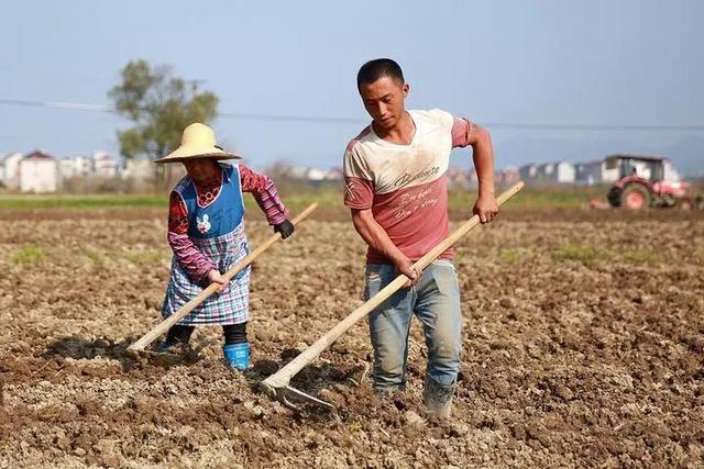 北大博士王福重简介百度百科，北大博士王福重是什么人