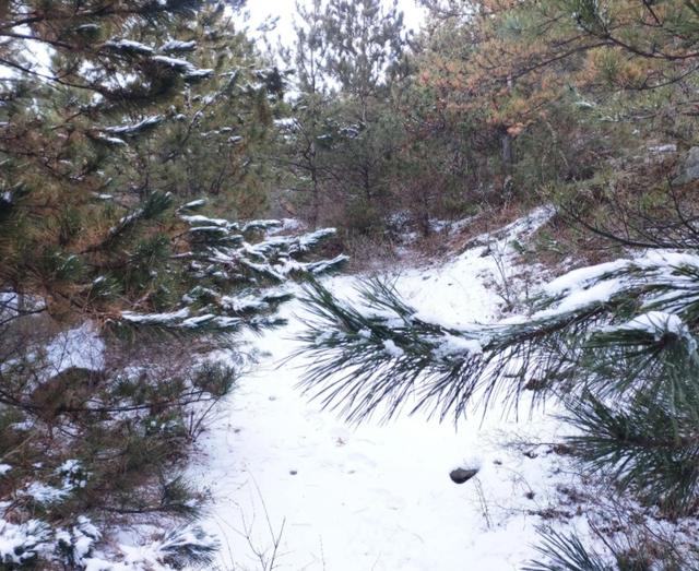 寺院早课全文原文，寺院早课全文原文及翻译