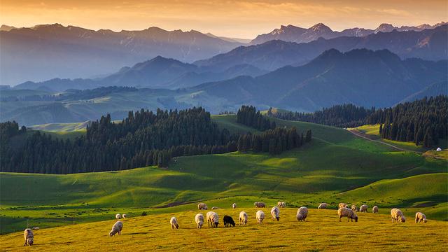 印第安人是哪个国家的人，印第安人是哪个国家的人