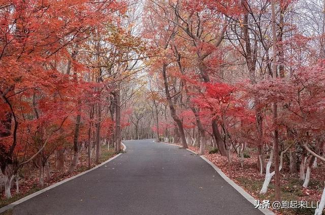 骑手拿餐后取消订单，骑手取餐后取消配送
