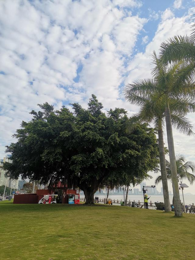 怎么在网上投资赚钱，怎么在网上投资赚钱呢