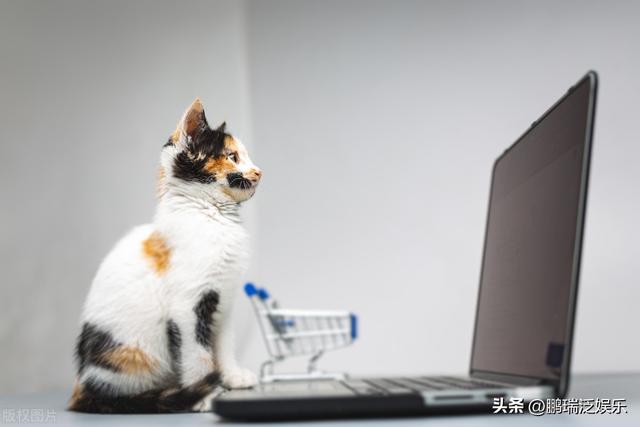 疫情后，盘点未来3-5年可赚钱的机会（上）