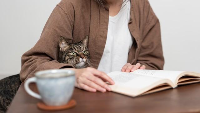 逆战手游_下载安装，逆战手游下载安装