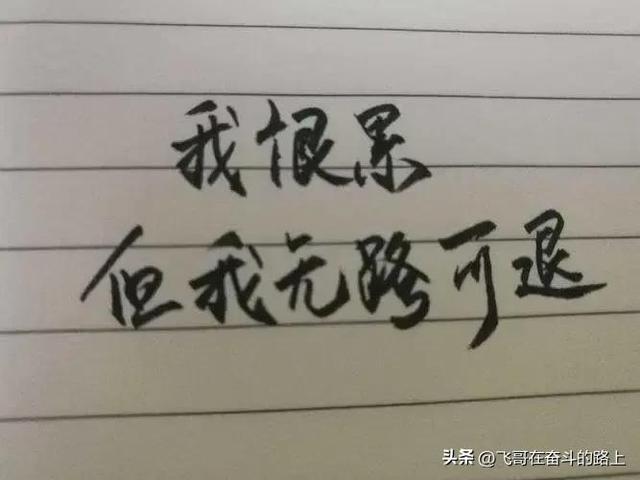 网贷被催收三年的经历，催收的日子小说