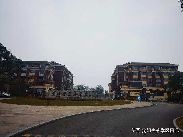 重庆市主城小学排名榜，重庆主城小学排名前50