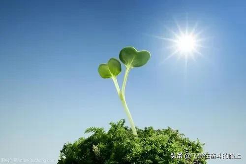 网贷被催收三年的经历，催收的日子小说