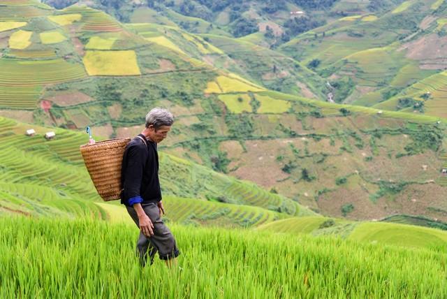 纪念亲人去天堂的图片_蜡烛怎么做，纪念天堂亲人的彩烛图片