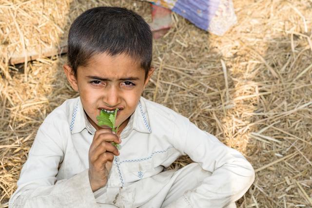 022回收旧衣服价格表，2022回收旧衣服价格表安徽"