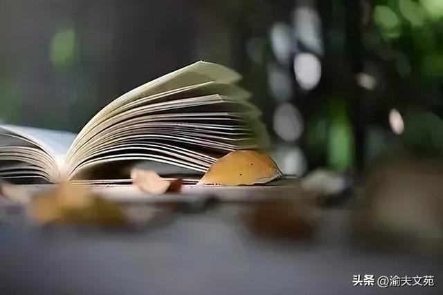 我喜欢的动物三分钟演讲稿，我喜欢的动物三分钟演讲稿英语