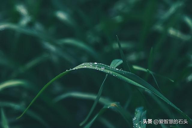 拎得清什么意思是什么，拎得清什么意思是什么生肖