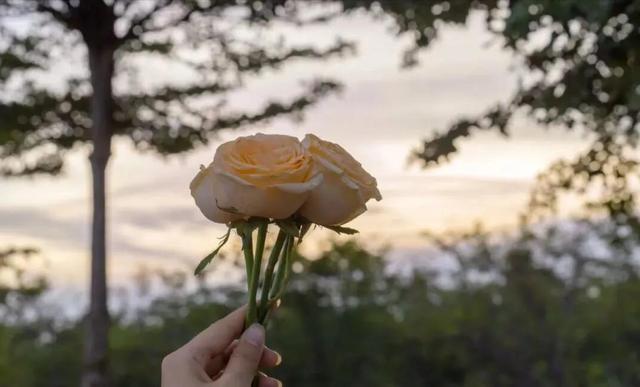 什么路子挣钱快，有什么挣快钱的路子