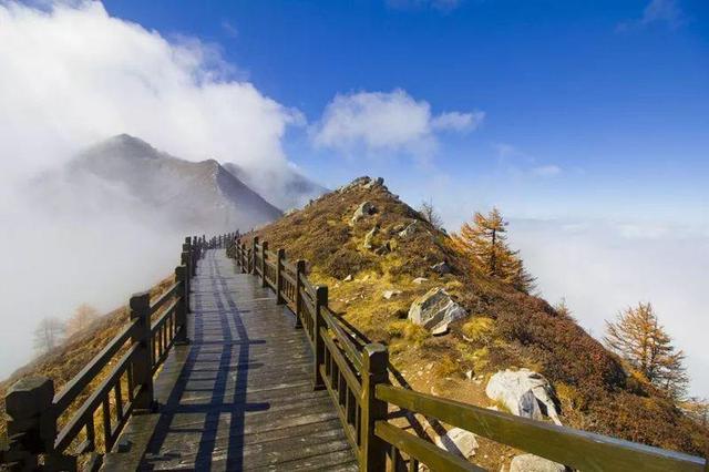 驴友在帐篷中的那些秘密视频，驴友在帐篷中的那些秘密视频在线观看