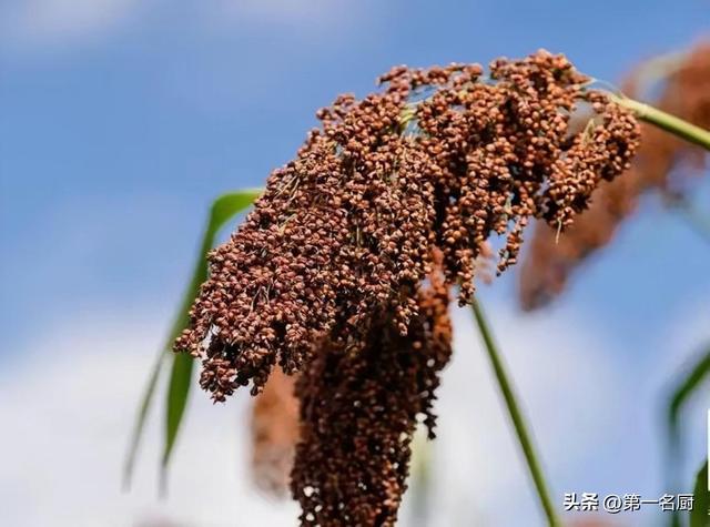 天之蓝净水机的售后电话,天之蓝净水器客服电话