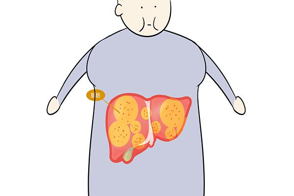 一日两餐更长寿,一日两餐和一日三餐哪个更好