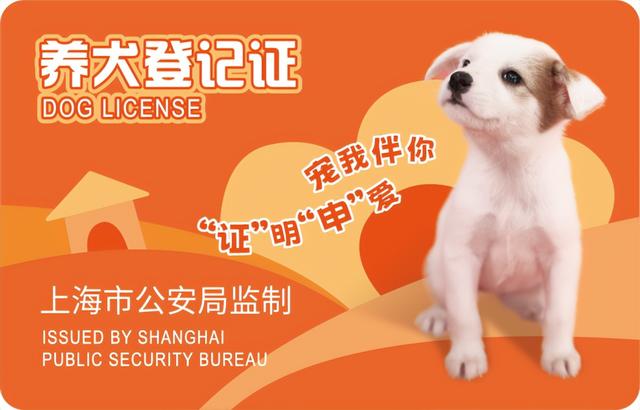 021年办狗证要多少钱_办狗证的流程,现在办狗证需要多少钱"