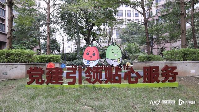 旺铺管家收款码怎么样,全国前十聚合支付排名