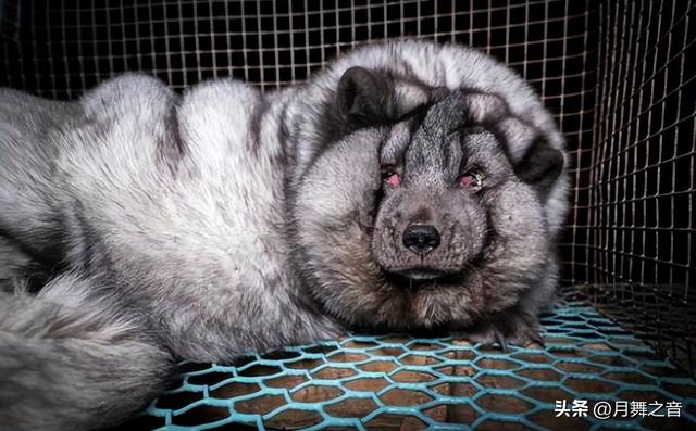 店怪兽数据可靠吗,店怪兽app