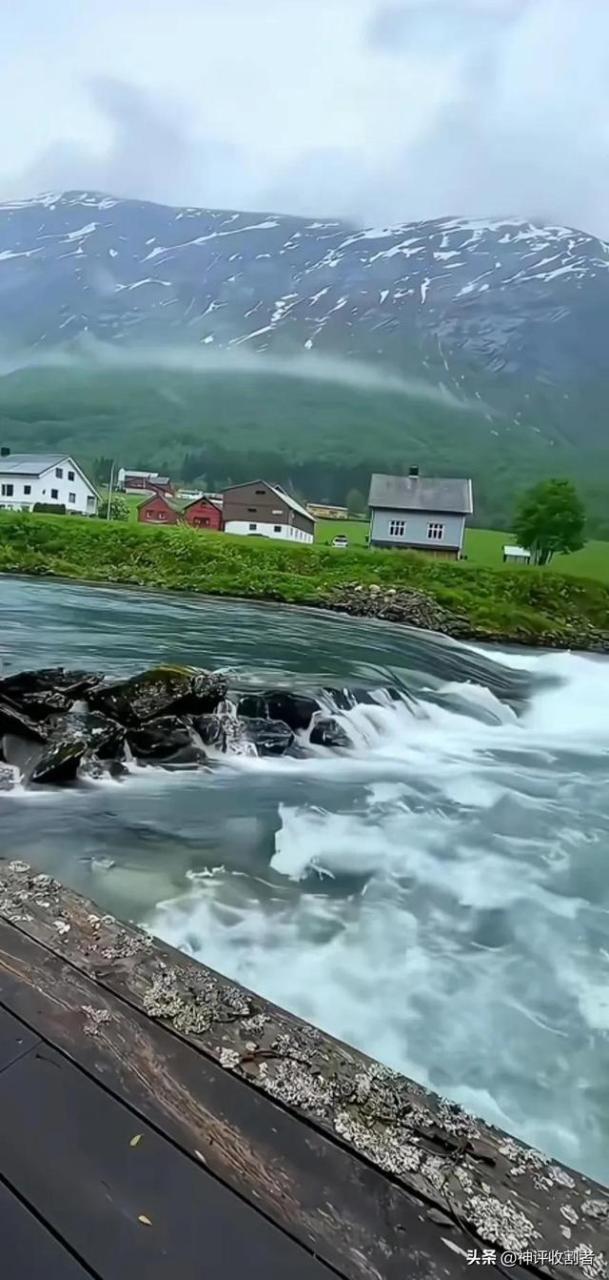 由太奶奶的遗产说说我的叔叔们