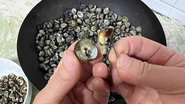 海螺冷水下锅蒸多少分钟,海螺冷水下锅蒸多少分钟能熟