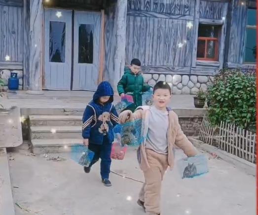 种兔厂家供应信息,种兔批发