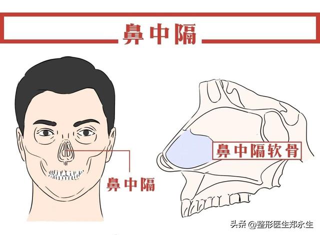 徒手正骨培训班学费一般多少,徒手正骨培训班学费一般多少钱