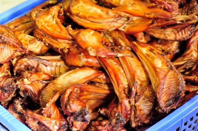 四川最大的兔子养殖基地,养一千只兔子一年利润